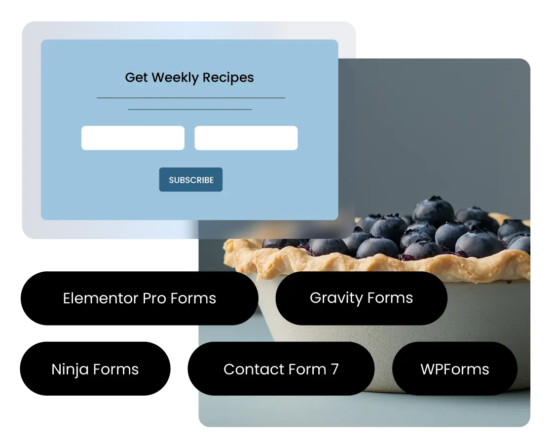 Konet email marketing signup form integrating with popular WordPress form plugins including Elementor Pro Forms, Gravity Forms, Ninja Forms, Contact Form 7, and WPForms, with a blueberry pie in the background.